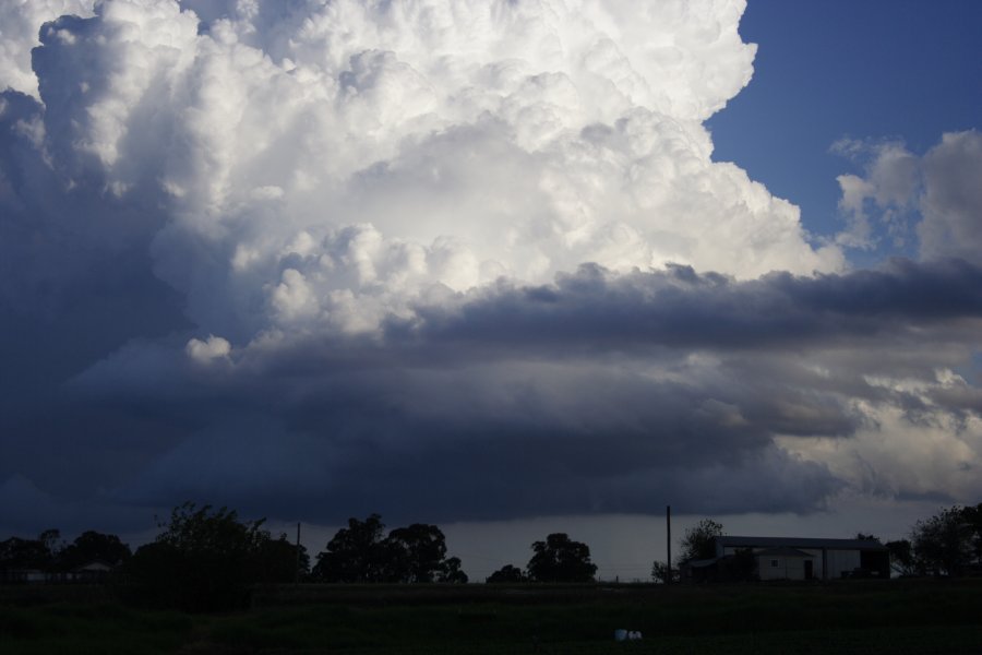 updraft thunderstorm_updrafts : Schofields, NSW   29 March 2008