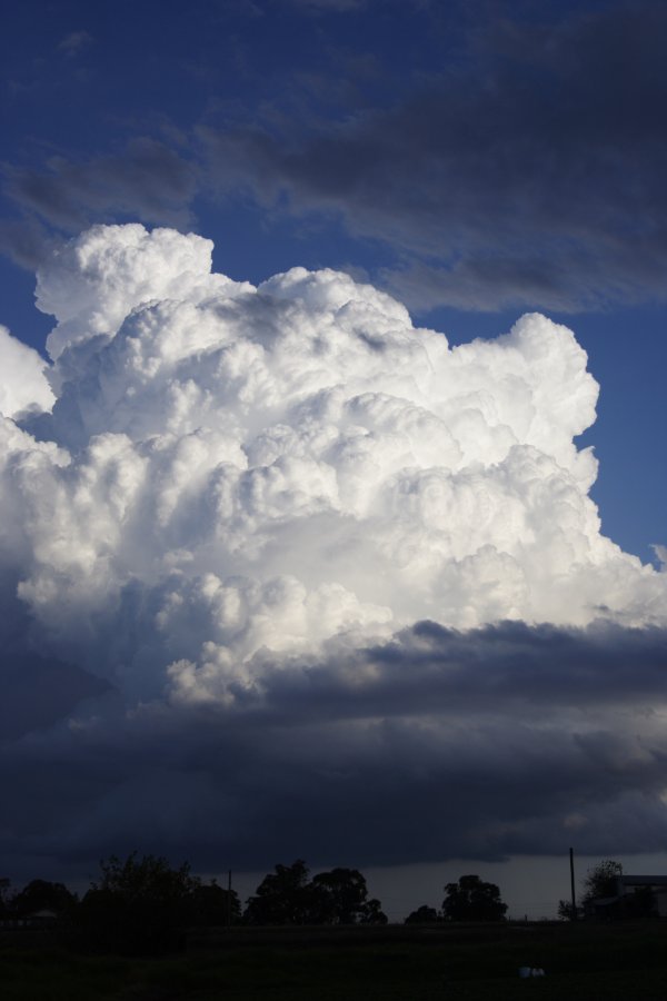 thunderstorm cumulonimbus_calvus : Schofields, NSW   29 March 2008