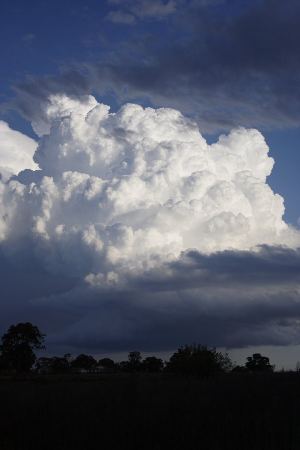 updraft thunderstorm_updrafts : Schofields, NSW   29 March 2008