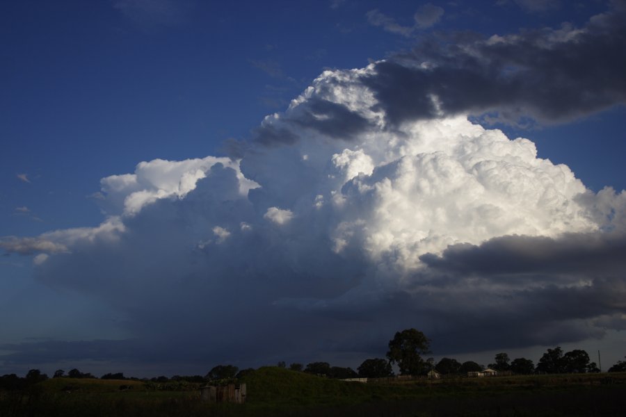 thunderstorm cumulonimbus_calvus : Schofields, NSW   29 March 2008