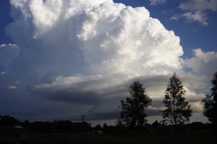 updraft thunderstorm_updrafts : Kellyville, NSW   29 March 2008