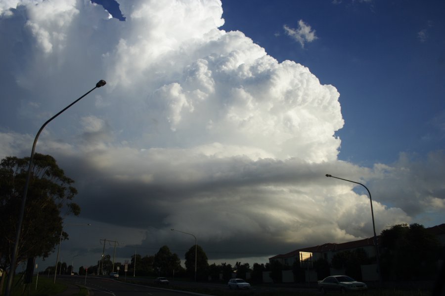 updraft thunderstorm_updrafts : Kellyville, NSW   29 March 2008