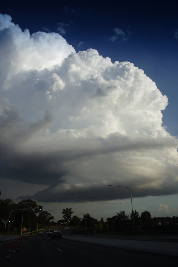 inflowband thunderstorm_inflow_band : Baulkham Hills, NSW   29 March 2008