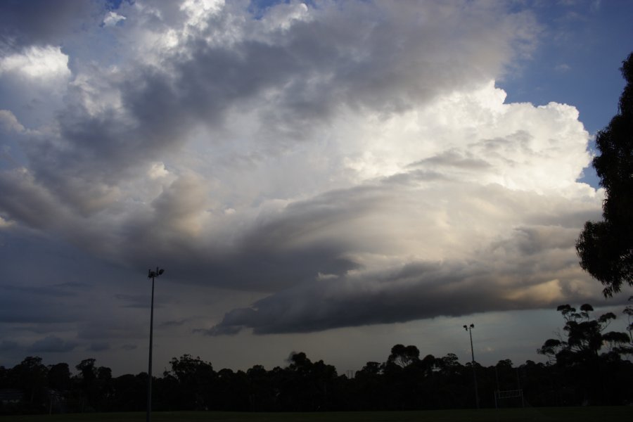 updraft thunderstorm_updrafts : Castle Hill, NSW   29 March 2008