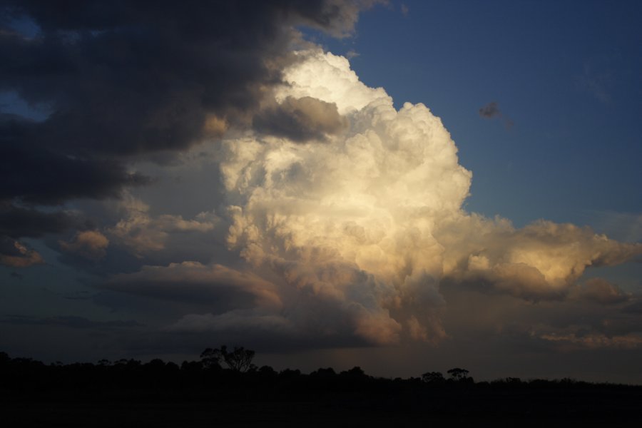 sunset sunset_pictures : Schofields, NSW   29 March 2008