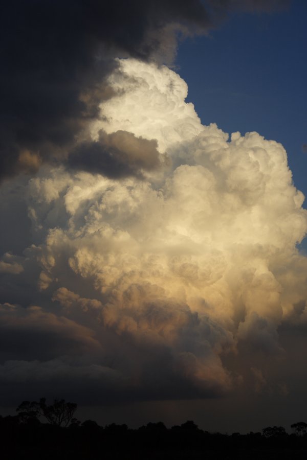 updraft thunderstorm_updrafts : Schofields, NSW   29 March 2008