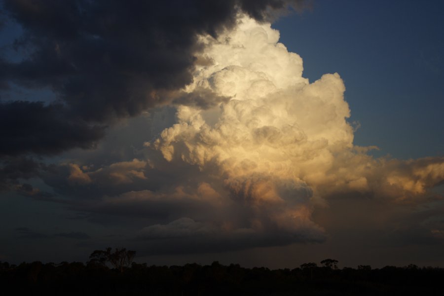 updraft thunderstorm_updrafts : Schofields, NSW   29 March 2008