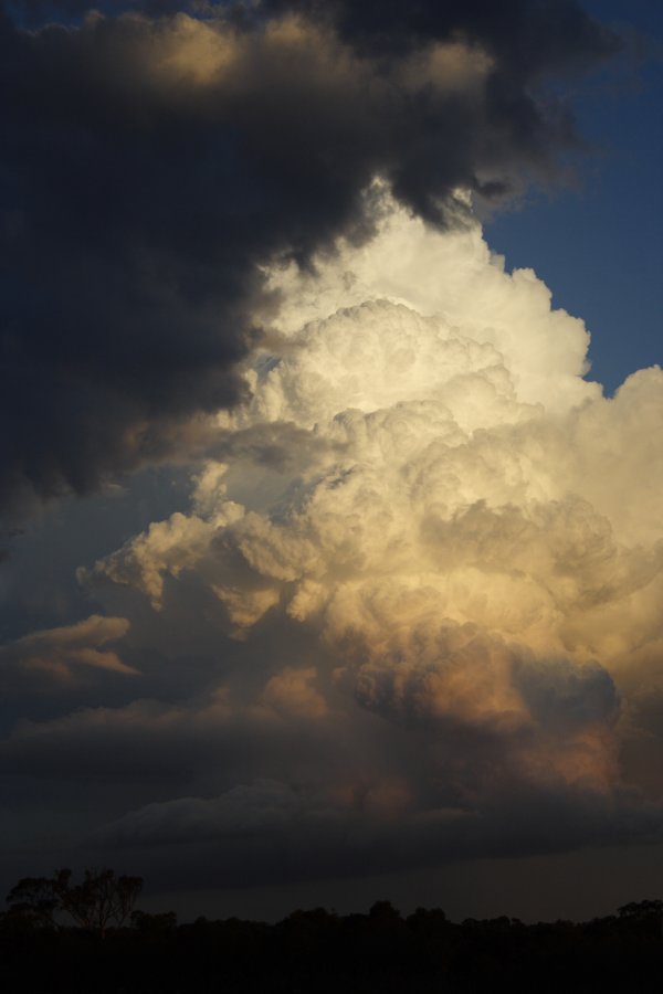 updraft thunderstorm_updrafts : Schofields, NSW   29 March 2008