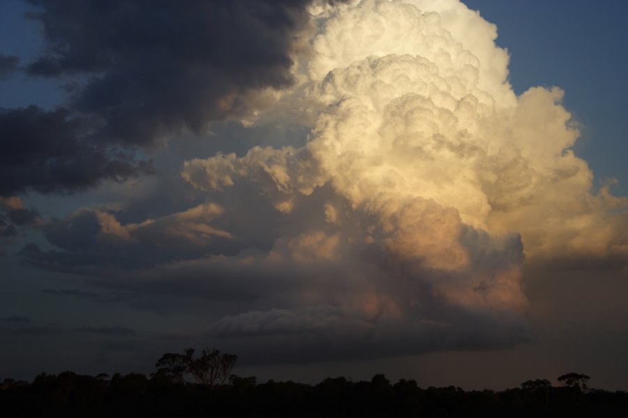 inflowband thunderstorm_inflow_band : Schofields, NSW   29 March 2008