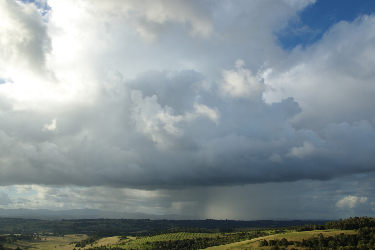 cumulus congestus : McLeans Ridges, NSW   6 April 2008