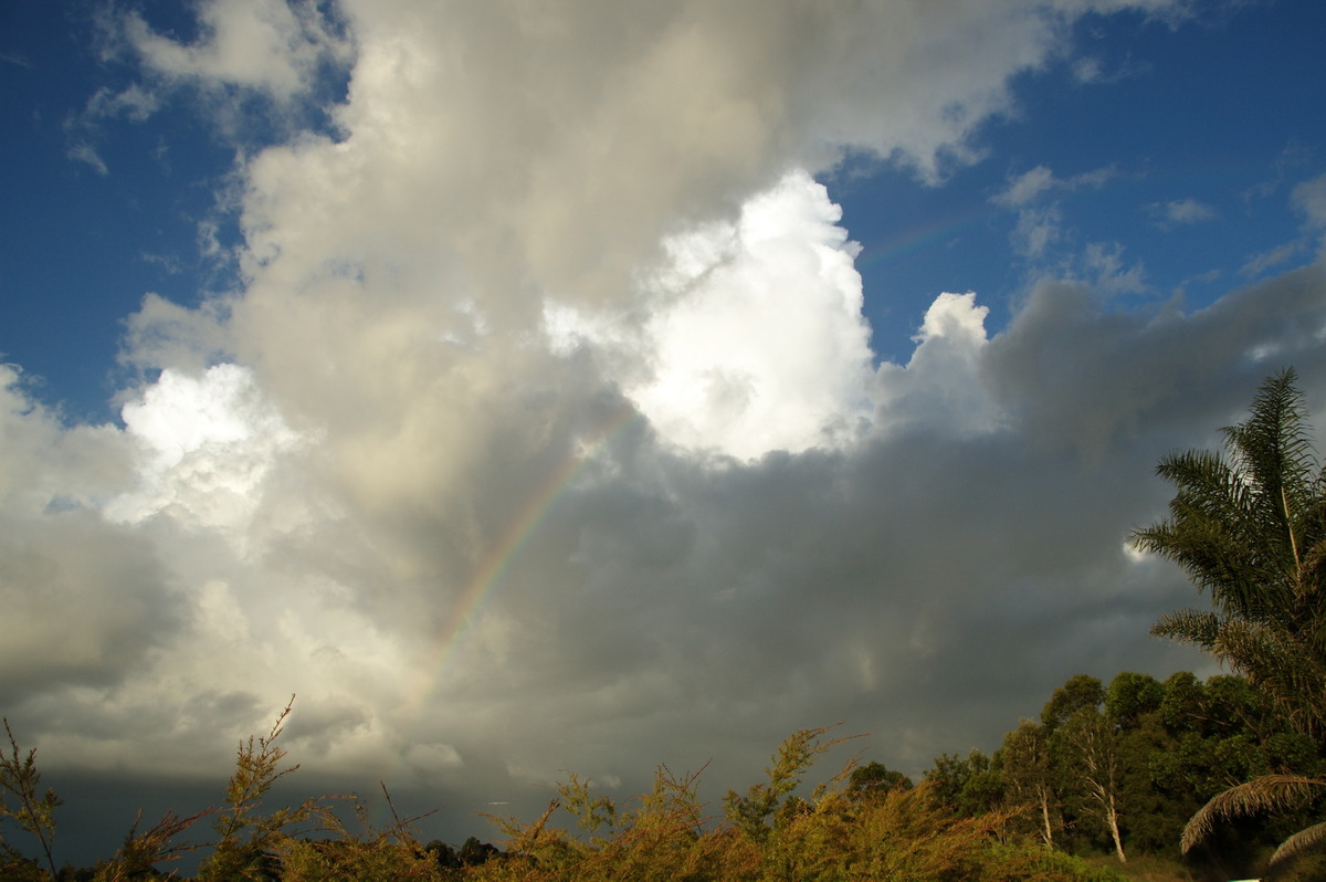 thunderstorm cumulonimbus_calvus : McLeans Ridges, NSW   6 April 2008