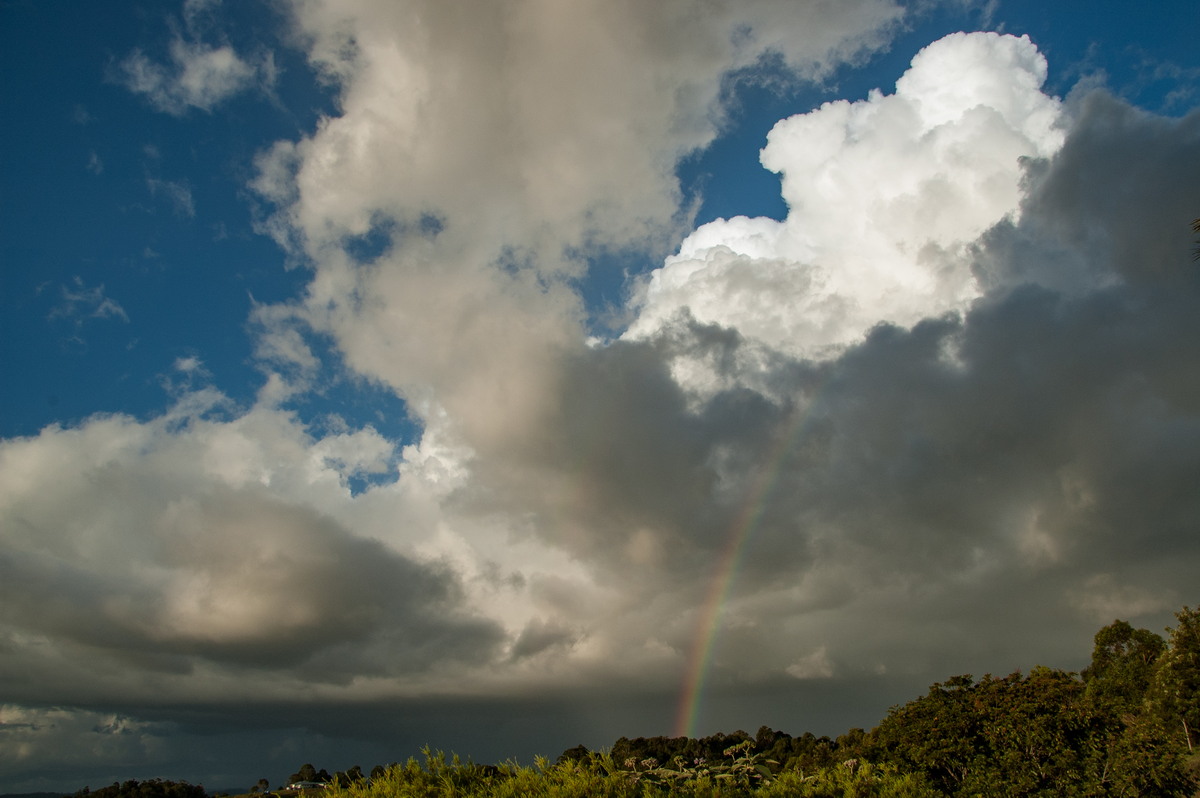 thunderstorm cumulonimbus_calvus : McLeans Ridges, NSW   6 April 2008