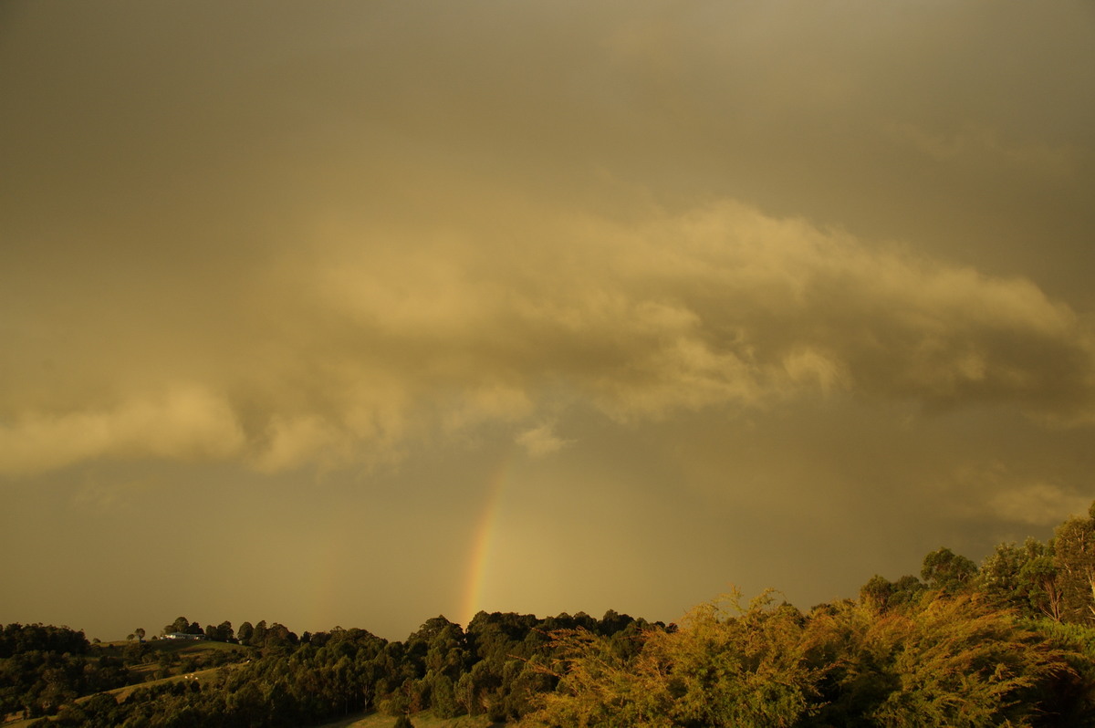 rainbow rainbow_pictures : McLeans Ridges, NSW   6 April 2008