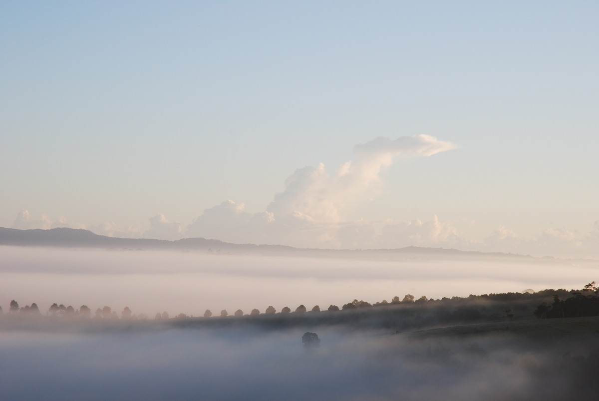 fogmist fog_mist_frost : McLeans Ridges, NSW   15 May 2008