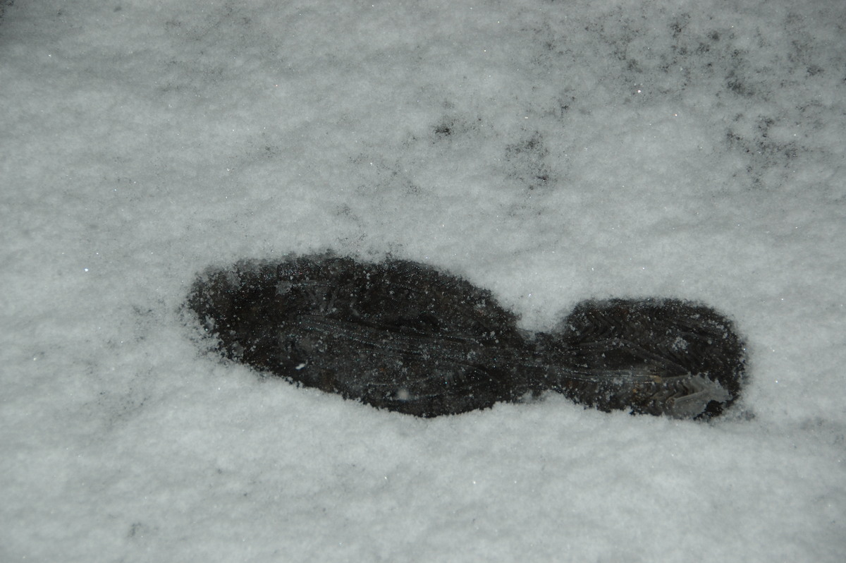 snow snow_pictures : Ben Lomond, NSW   17 May 2008