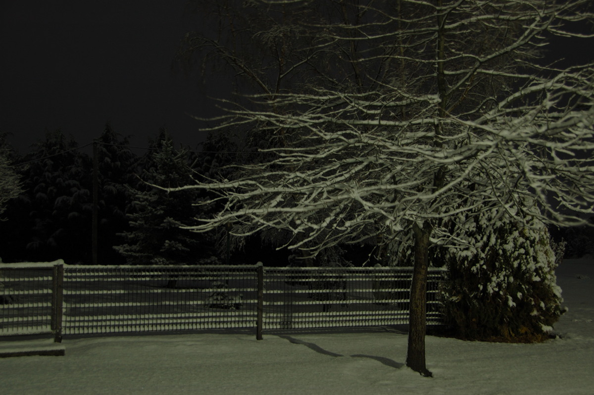 snow snow_pictures : Ben Lomond, NSW   17 May 2008