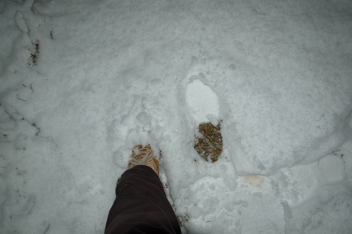 snow snow_pictures : Ben Lomond, NSW   18 May 2008