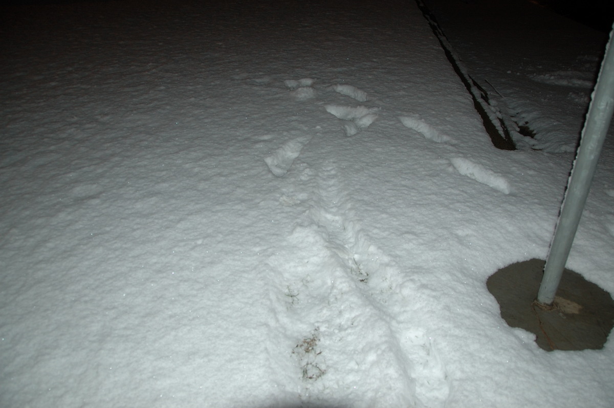 snow snow_pictures : Guyra, NSW   18 May 2008