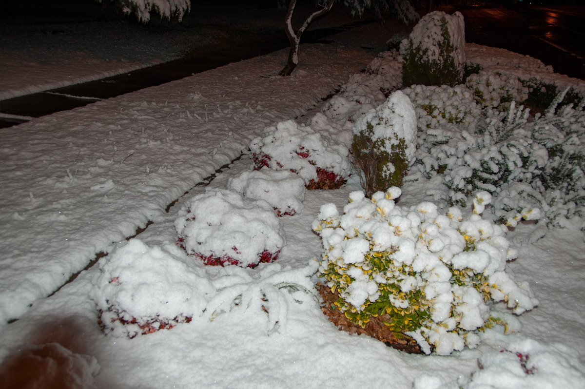 snow snow_pictures : Guyra, NSW   18 May 2008