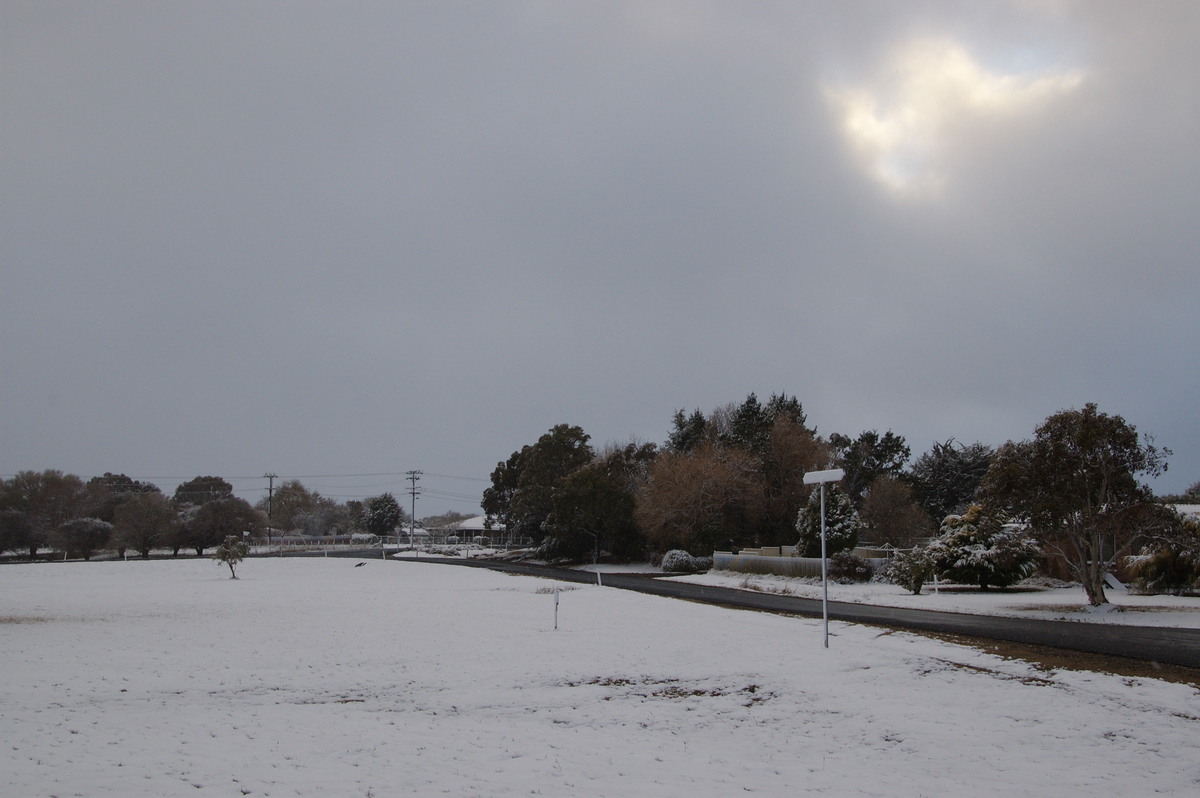 snow snow_pictures : Guyra, NSW   18 May 2008