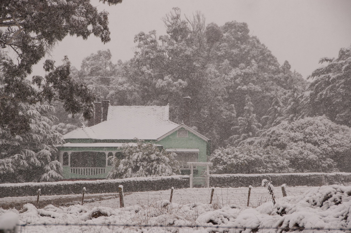 precipitation precipitation_rain : Guyra, NSW   18 May 2008