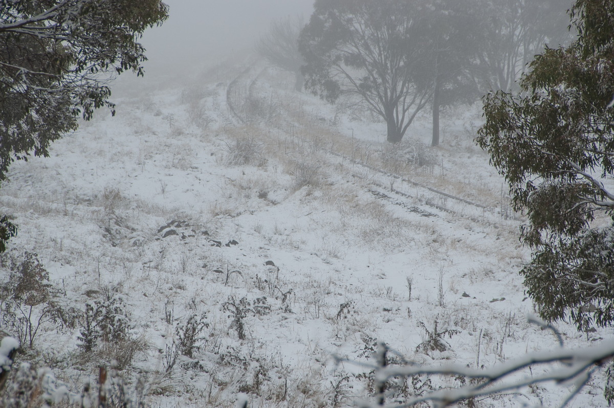 snow snow_pictures : Ben Lomond, NSW   18 May 2008