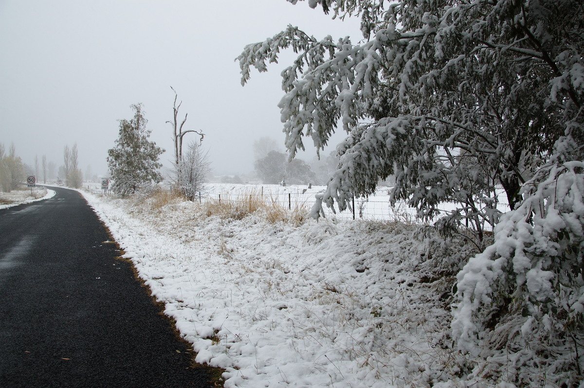 snow snow_pictures : Ben Lomond, NSW   18 May 2008