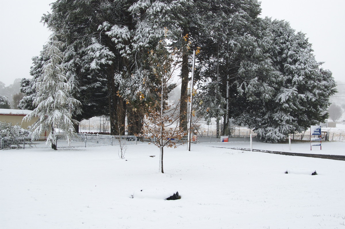 snow snow_pictures : Ben Lomond, NSW   18 May 2008