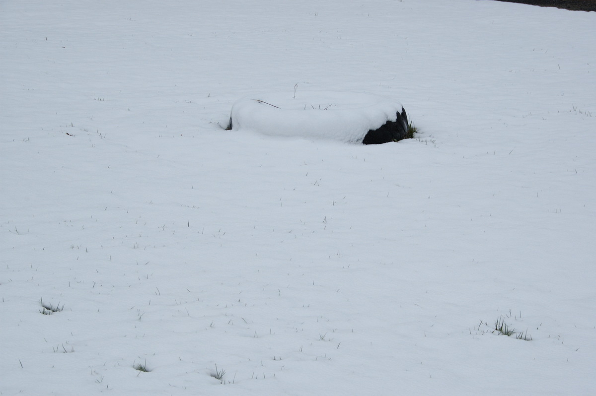 snow snow_pictures : Ben Lomond, NSW   18 May 2008