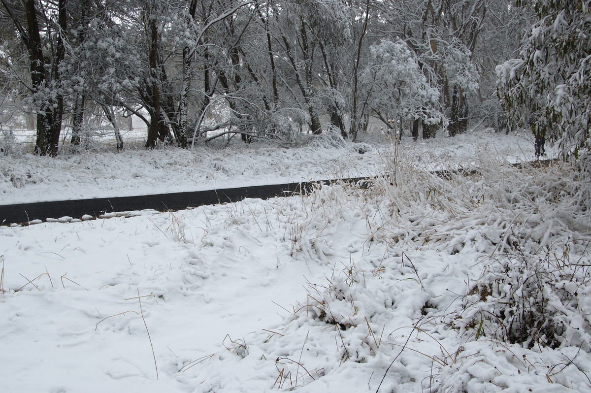 snow snow_pictures : Ben Lomond, NSW   18 May 2008