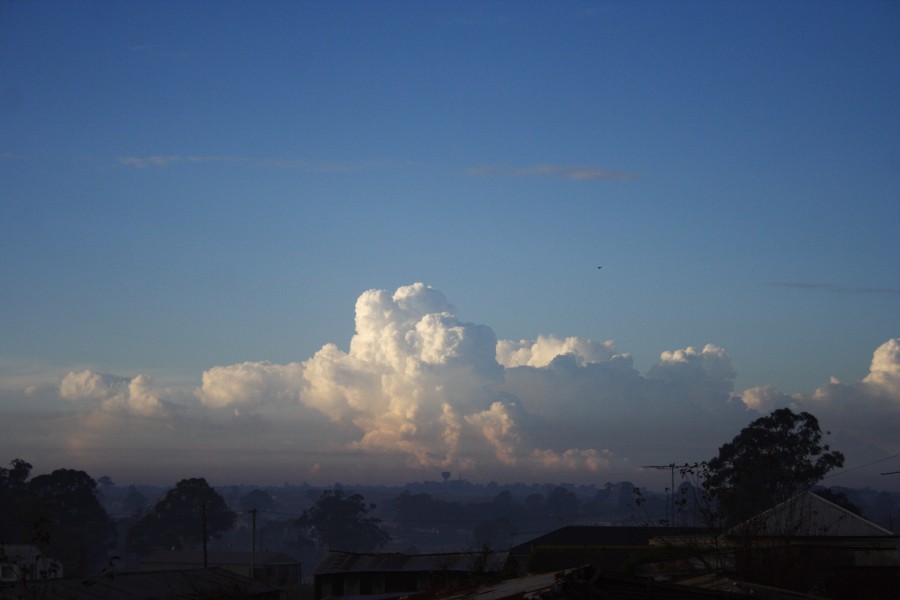 thunderstorm cumulonimbus_calvus : Schofields, NSW   27 May 2008