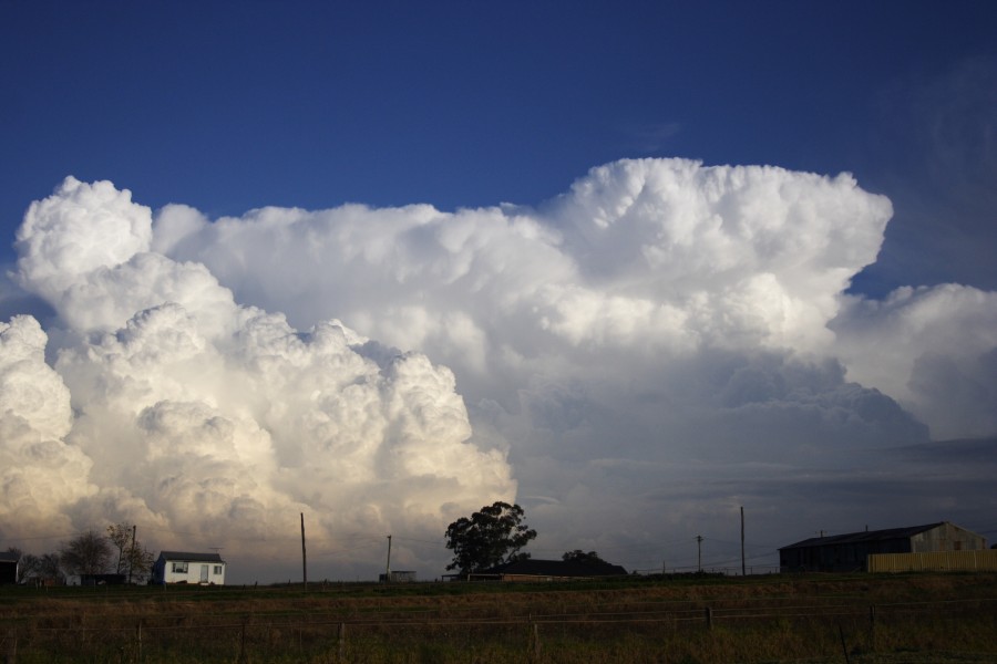 thunderstorm cumulonimbus_incus : Schofields, NSW   28 May 2008