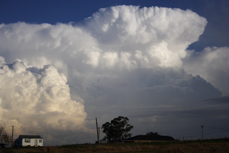 thunderstorm cumulonimbus_calvus : Schofields, NSW   28 May 2008