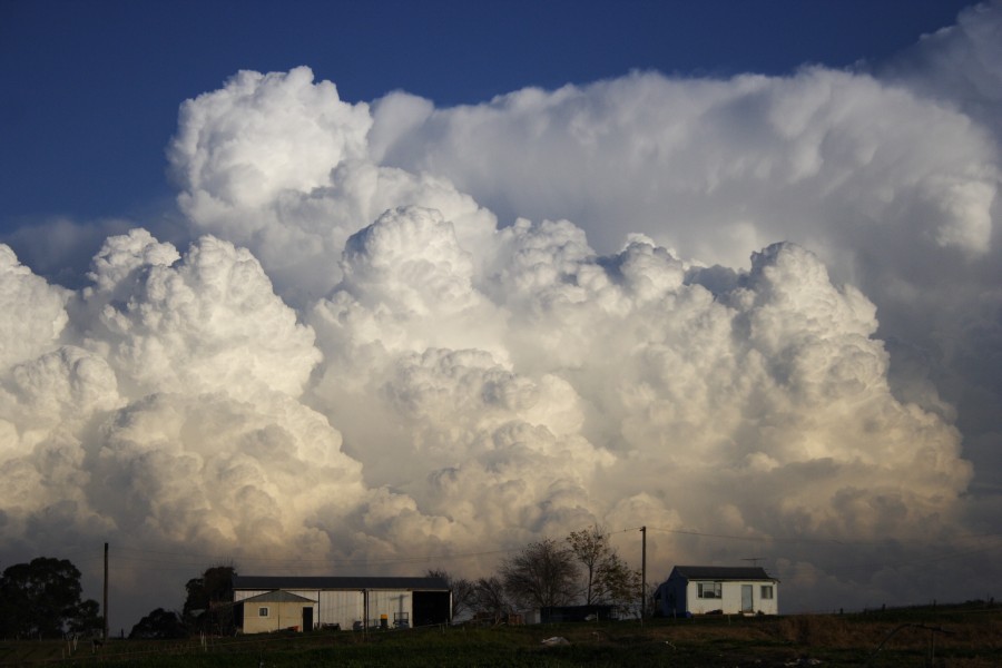 updraft thunderstorm_updrafts : Schofields, NSW   28 May 2008