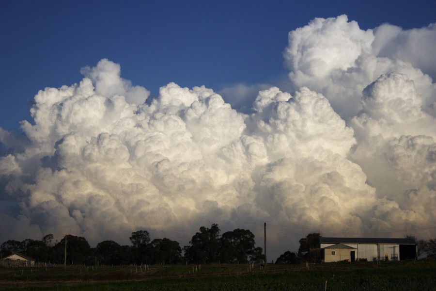 thunderstorm cumulonimbus_calvus : Schofields, NSW   28 May 2008