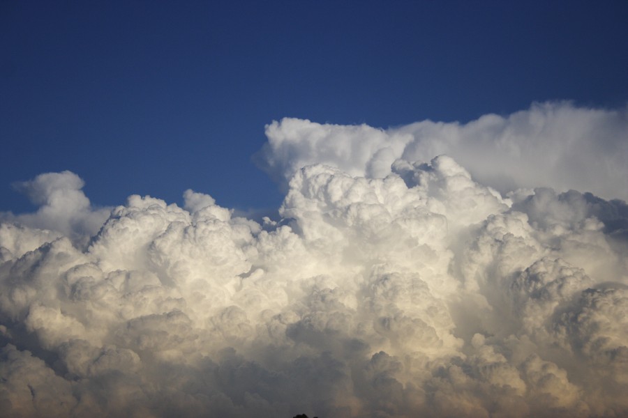 updraft thunderstorm_updrafts : Schofields, NSW   28 May 2008