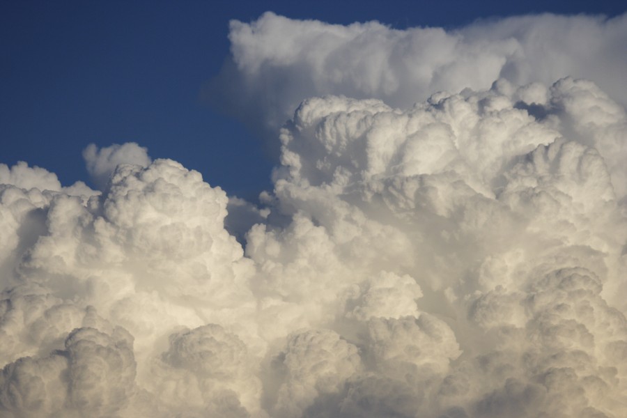 thunderstorm cumulonimbus_calvus : Schofields, NSW   28 May 2008