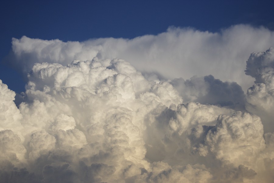 thunderstorm cumulonimbus_calvus : Schofields, NSW   28 May 2008