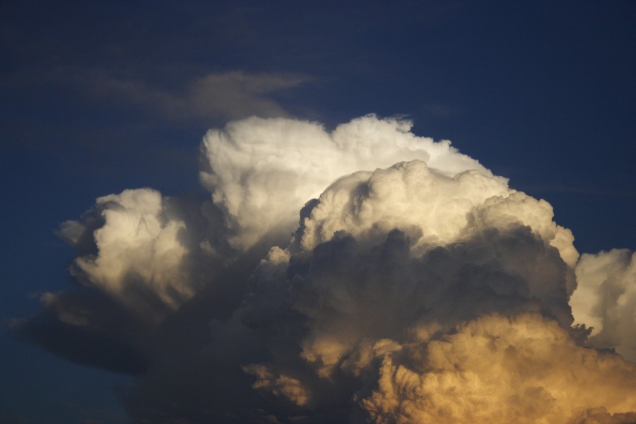 thunderstorm cumulonimbus_calvus : Schofields, NSW   28 May 2008