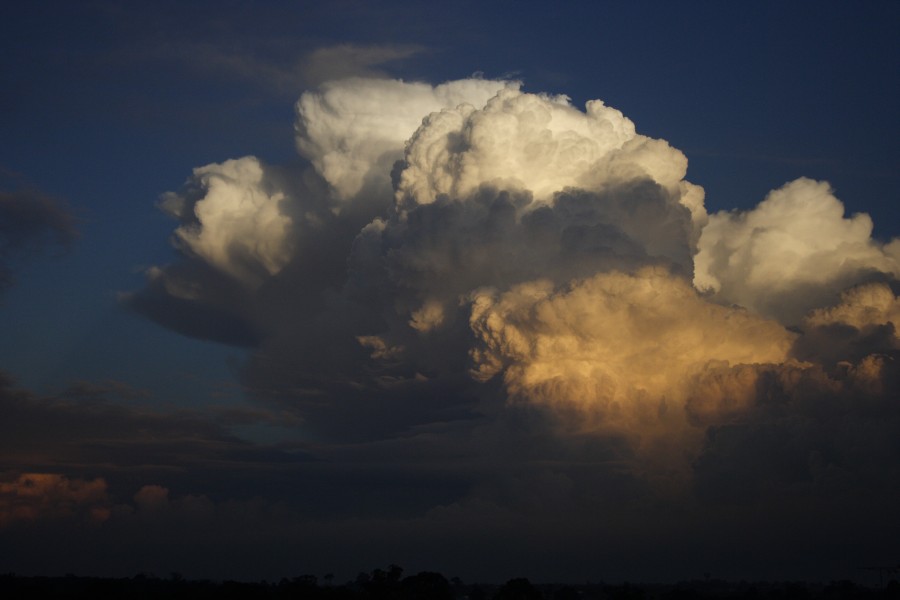 thunderstorm cumulonimbus_calvus : Schofields, NSW   28 May 2008