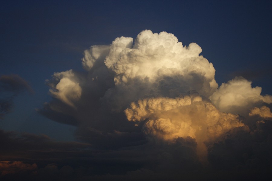 thunderstorm cumulonimbus_calvus : Schofields, NSW   28 May 2008