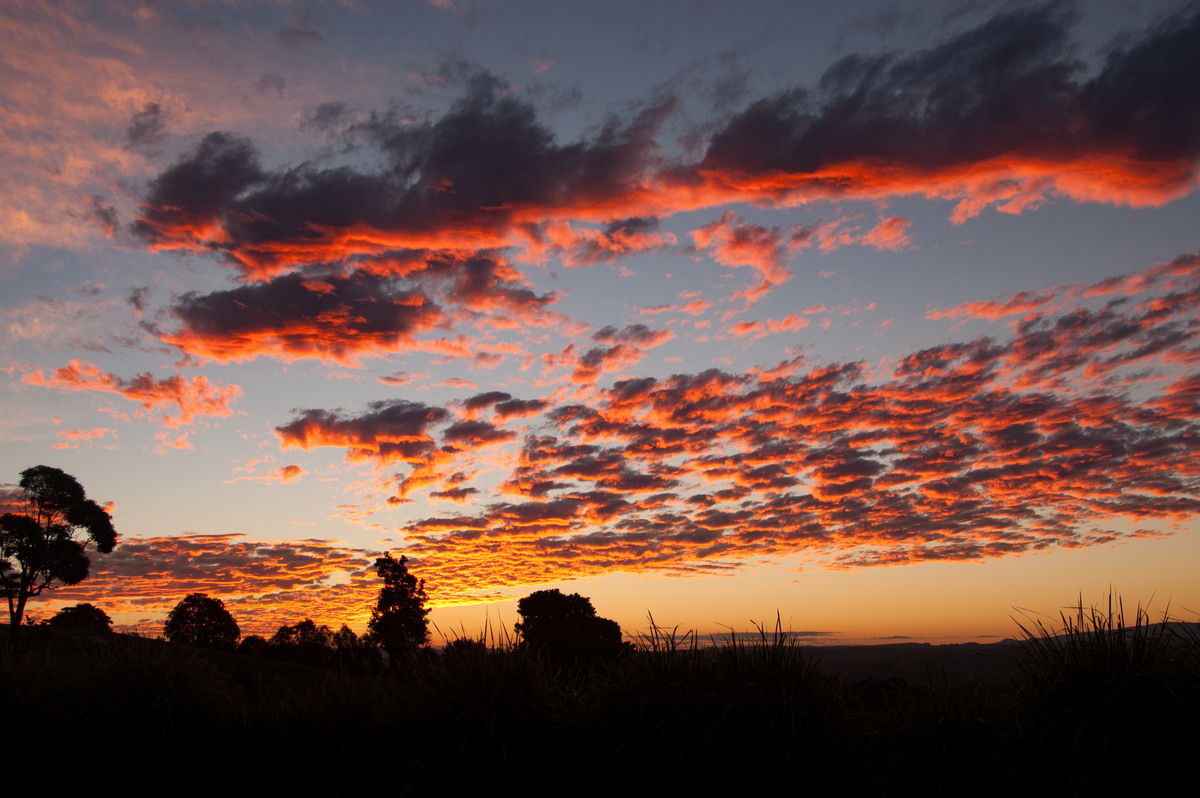 favourites michael_bath : McLeans Ridges, NSW   12 June 2008