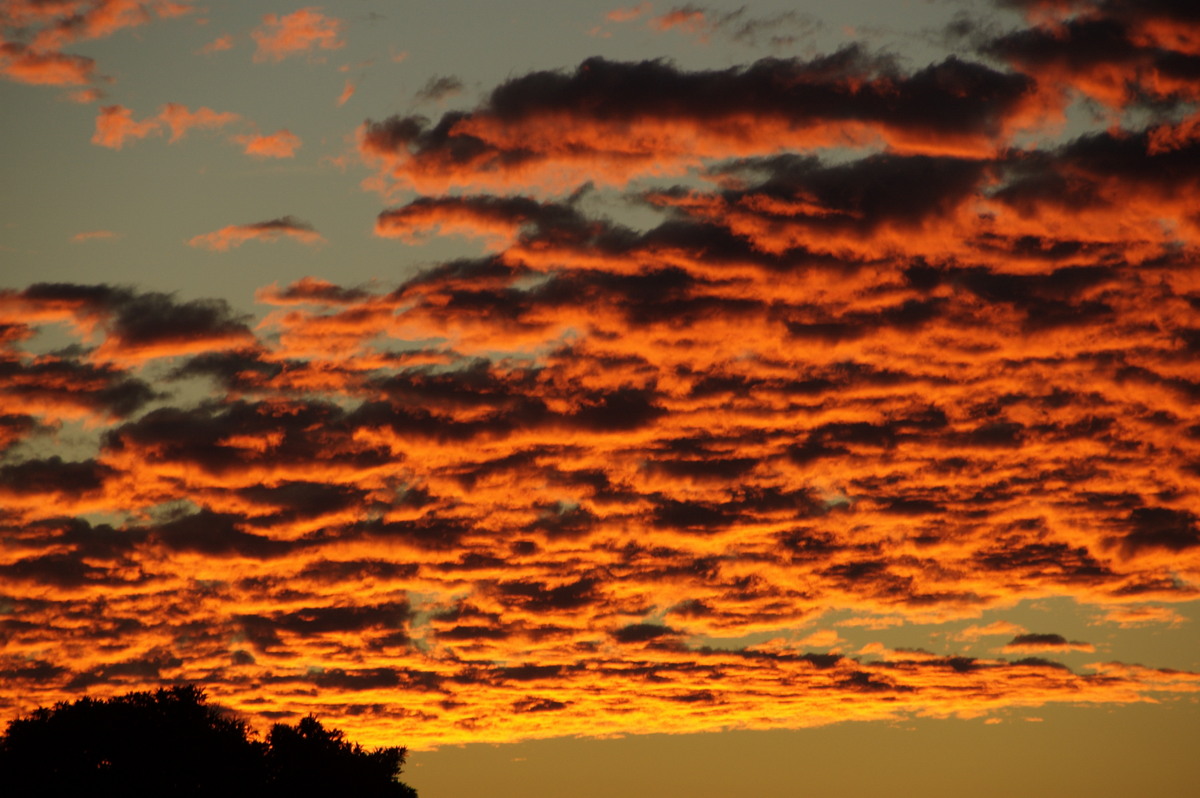 sunset sunset_pictures : McLeans Ridges, NSW   12 June 2008