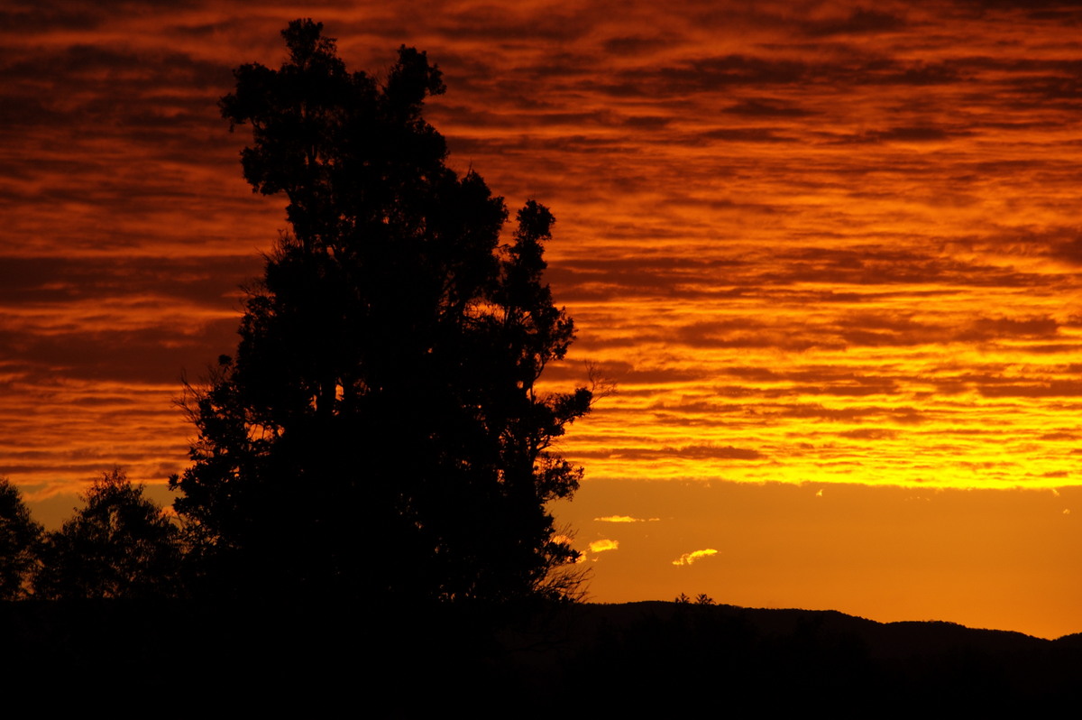 sunset sunset_pictures : McLeans Ridges, NSW   15 June 2008