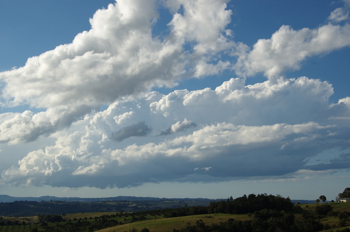 cumulus congestus : McLeans Ridges, NSW   20 June 2008