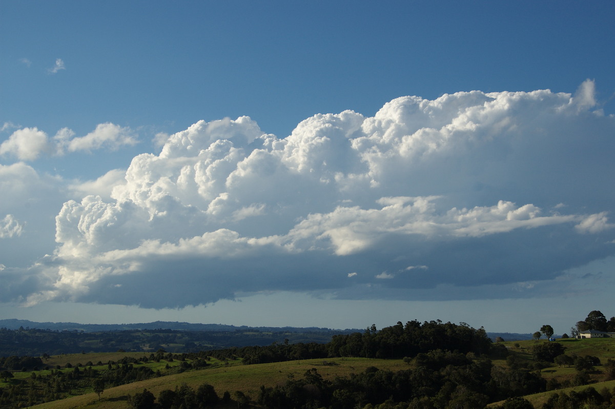 cumulus congestus : McLeans Ridges, NSW   20 June 2008