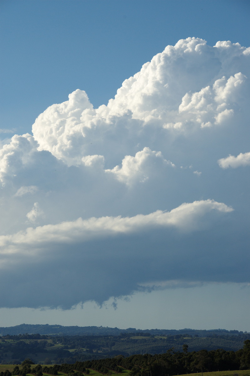 cumulus congestus : McLeans Ridges, NSW   20 June 2008