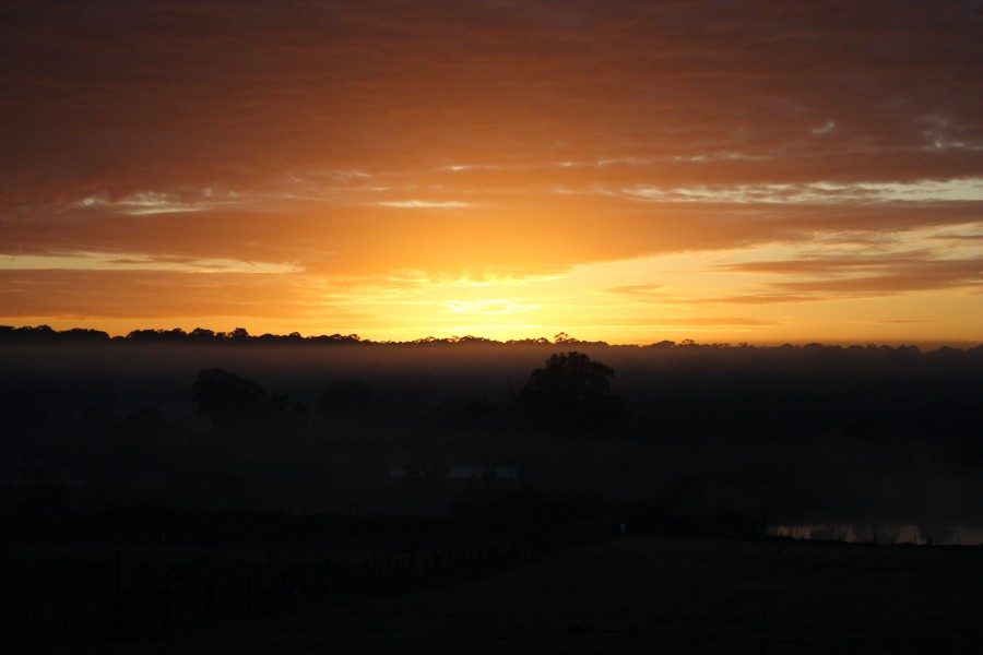 fogmist fog_mist_frost : Schofields, NSW   6 July 2008