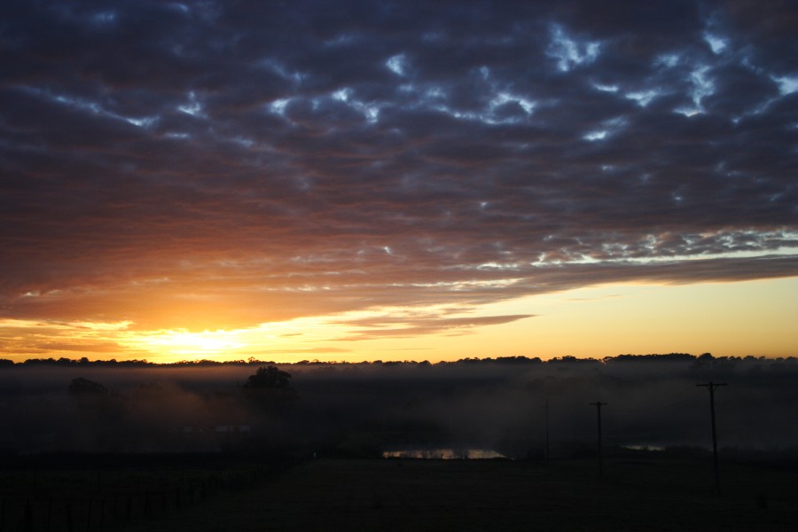 fogmist fog_mist_frost : Schofields, NSW   6 July 2008