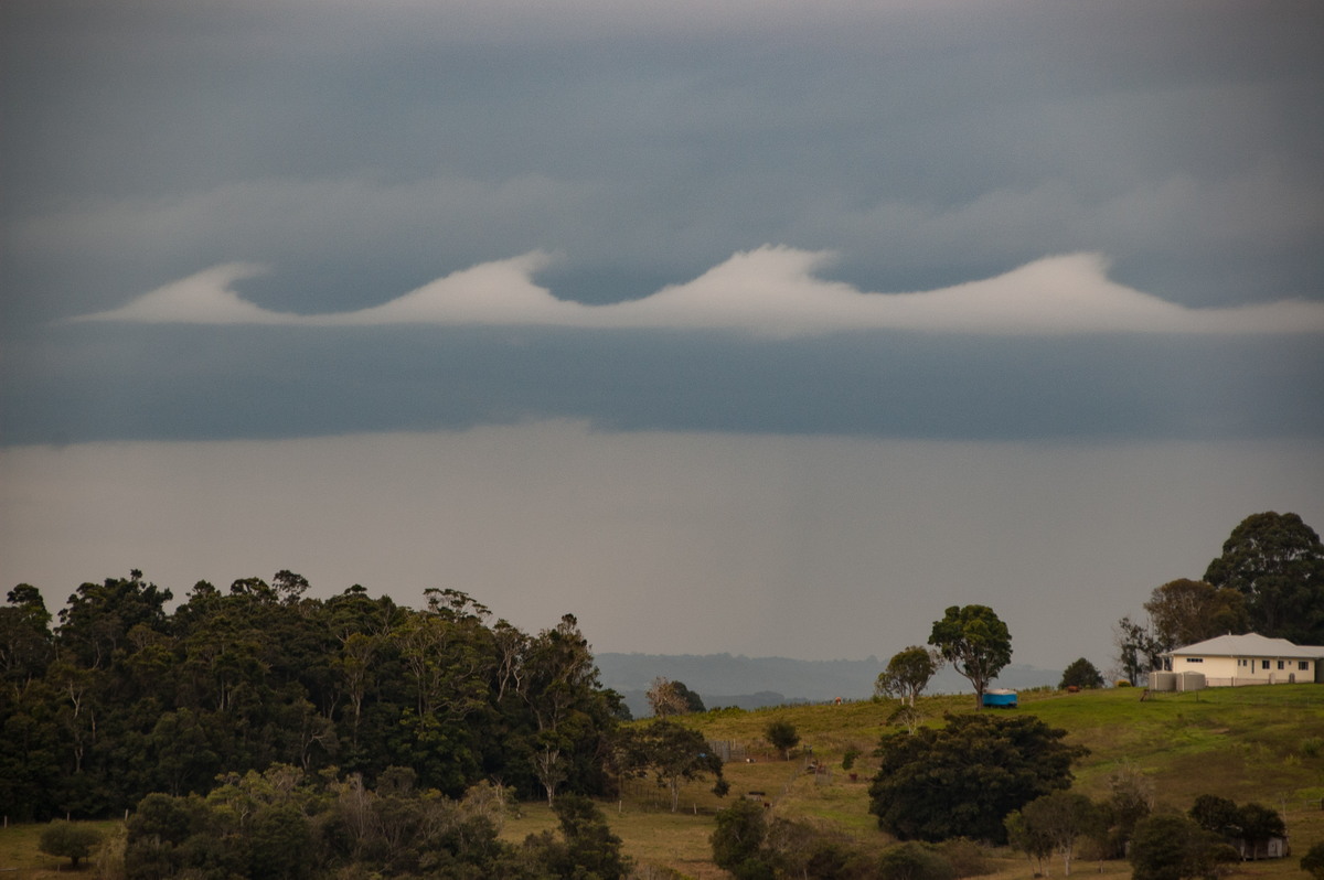 nimbostratus nimbostratus_cloud : McLeans Ridges, NSW   15 July 2008